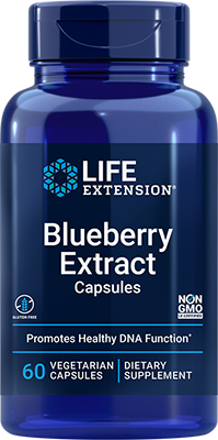 Blueberry Extract cápsulas, 60 cápsulas vegetarianas - lifeproductsbr