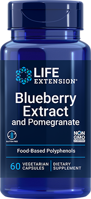 Blueberry Extract and Pomegranate, 60 cápsulas vegetarianas - lifeproductsbr